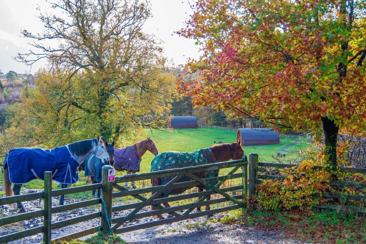 Luxury Rural Ayrshire Glamping Pod Hotel Dalmellington Kültér fotó