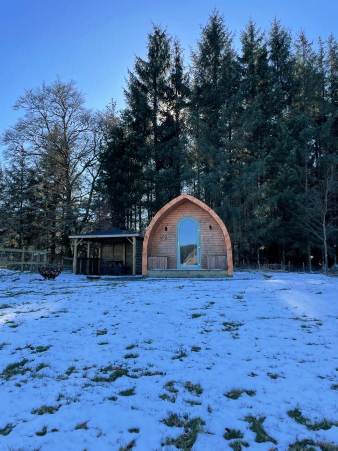 Luxury Rural Ayrshire Glamping Pod Hotel Dalmellington Kültér fotó